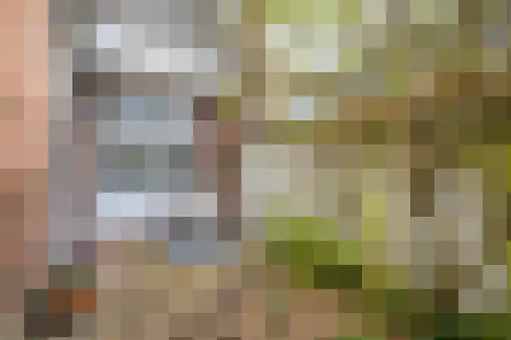 Kruisweg 18 Utrecht thumbnail 20
