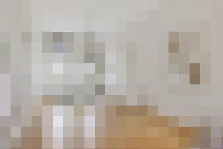 Kruisweg 18 Utrecht thumbnail 9