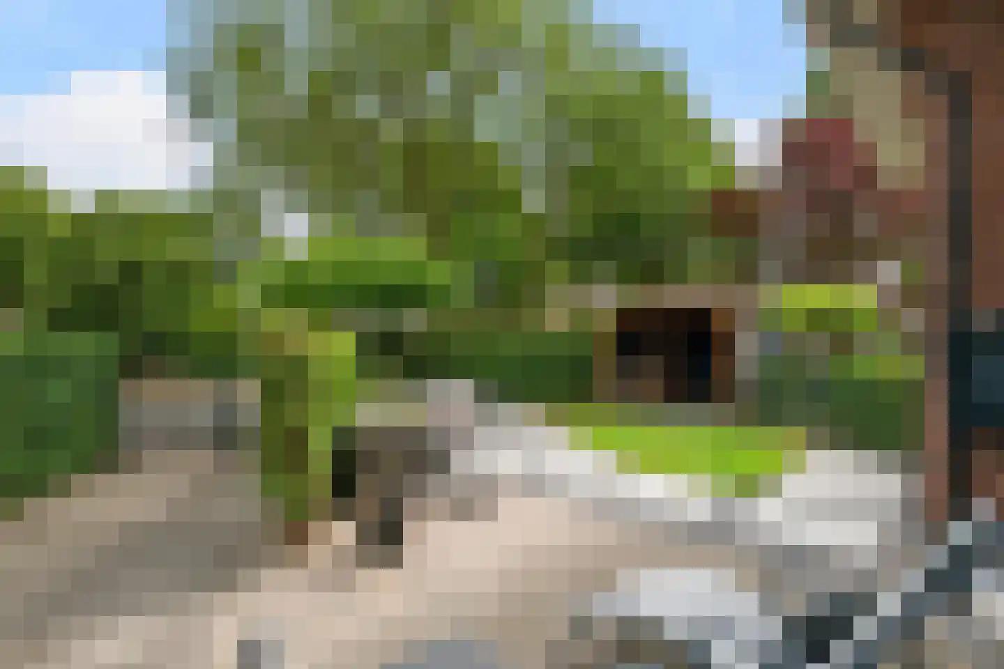Kruisweg 19 Naaldwijk thumbnail 24