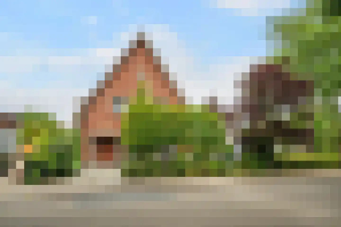Kruisweg 19 Naaldwijk thumbnail 53