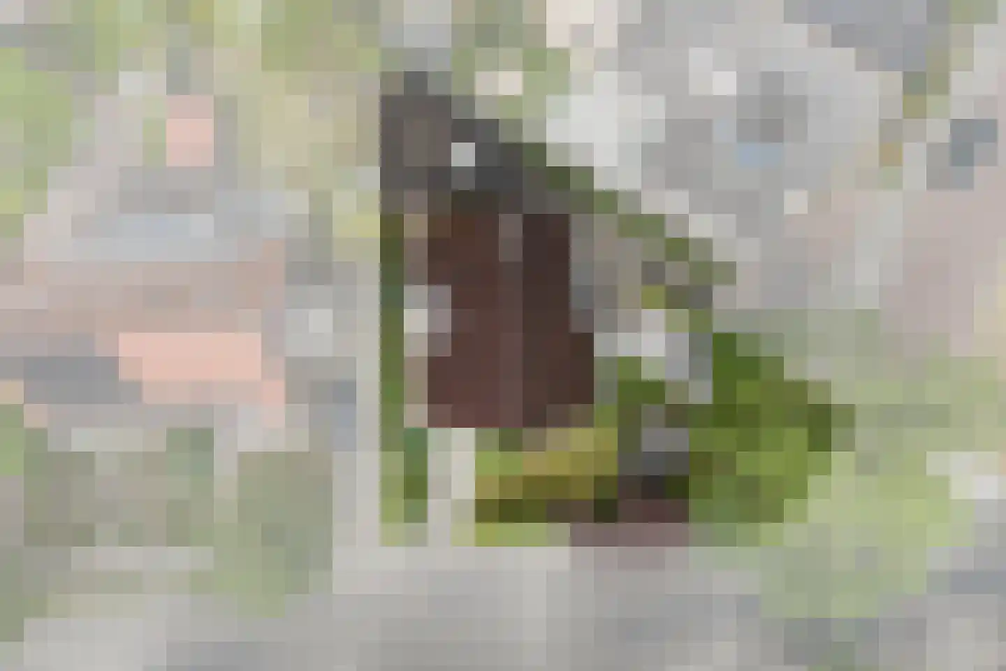 Kruisweg 19 Naaldwijk thumbnail 56