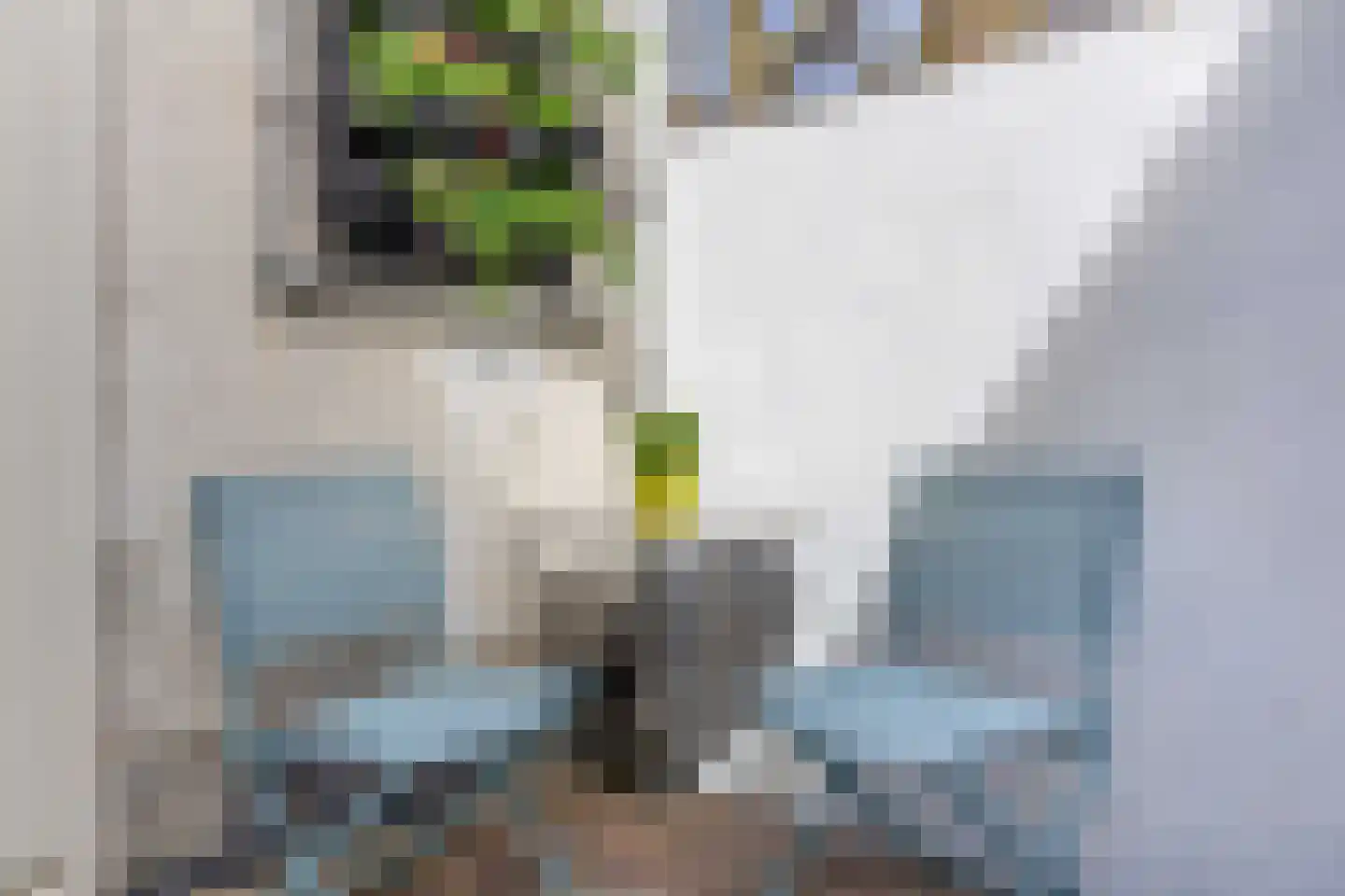Kruisweg 19 Utrecht thumbnail 22