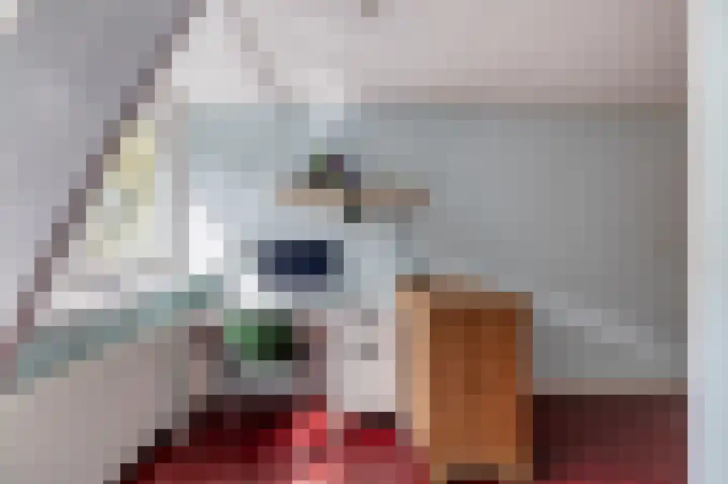 Kruisweg 19 Utrecht thumbnail 35