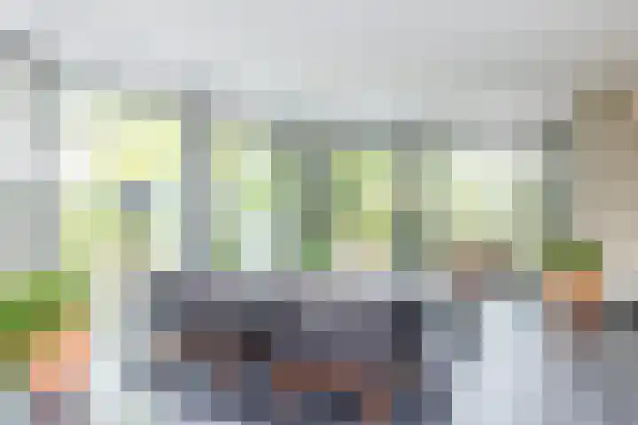 Kruisweg 21 Nuth thumbnail 12