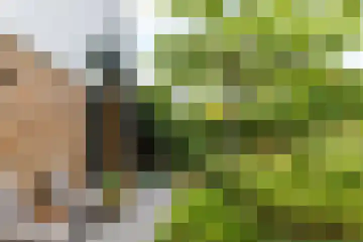 Kruisweg 21 Nuth thumbnail 30