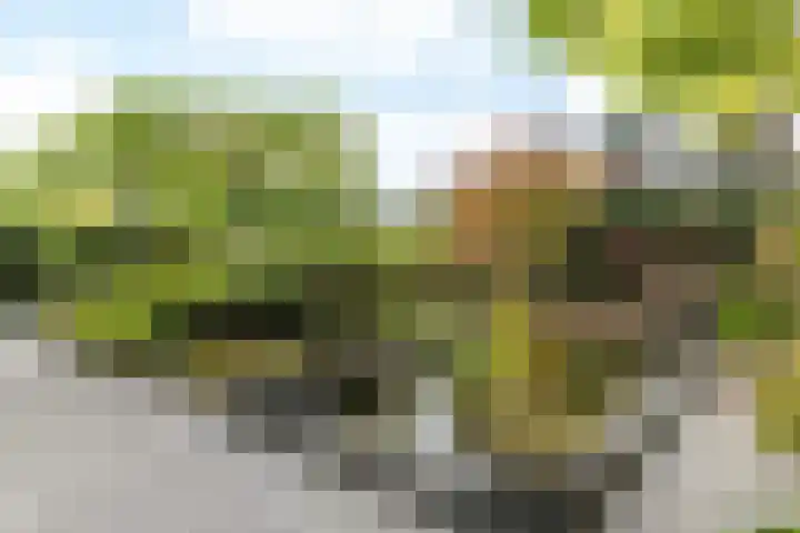 Kruisweg 21 Nuth thumbnail 33