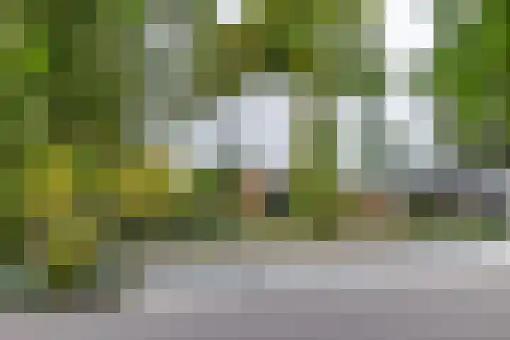Kruisweg 21 Nuth thumbnail 34