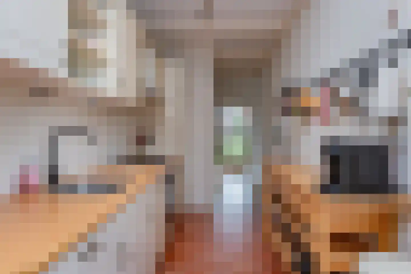 Kruisweg 23 Elburg thumbnail 21