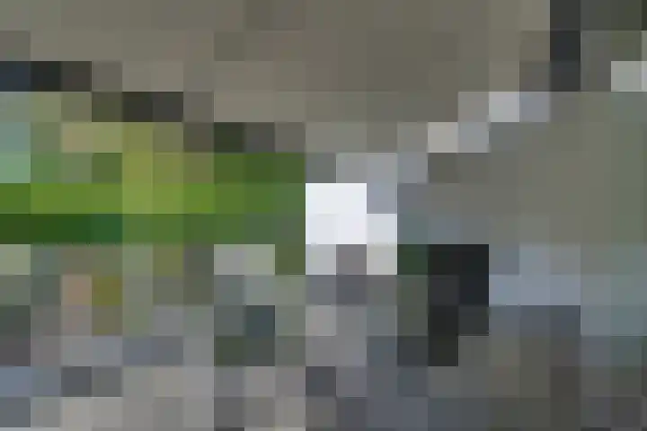 Kruisweg 23 Rijssen thumbnail 16