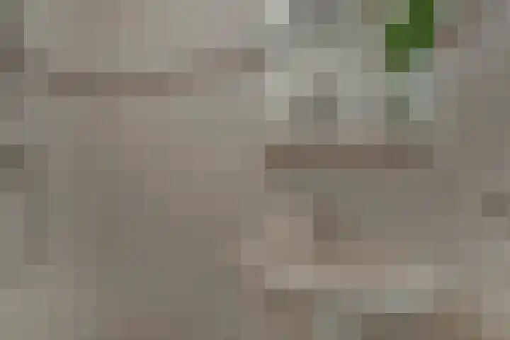 Kruisweg 23 Rijssen thumbnail 33