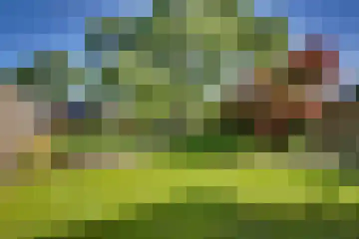 Kruisweg 23 Rijssen thumbnail 48