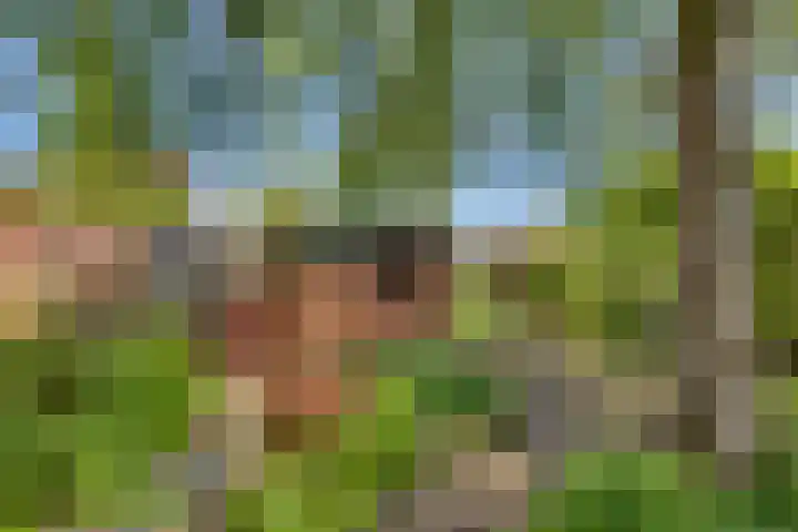 Kruisweg 23 Rijssen thumbnail 49