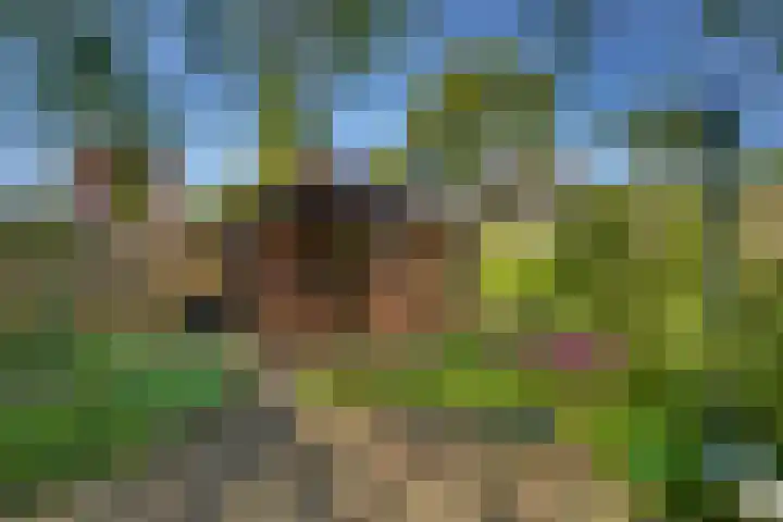Kruisweg 23 Rijssen thumbnail 50