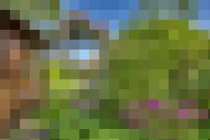 Kruisweg 23 Rijssen thumbnail 51