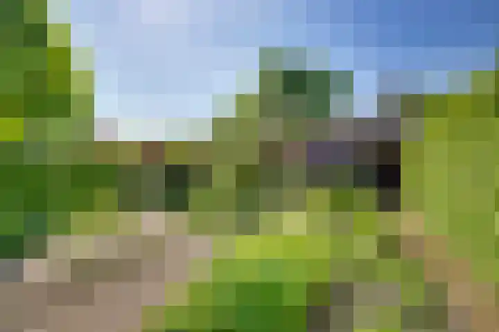 Kruisweg 23 Rijssen thumbnail 59