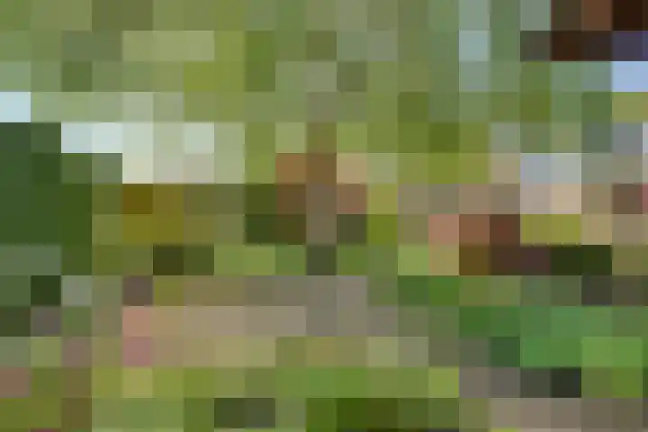 Kruisweg 23 Rijssen thumbnail 60