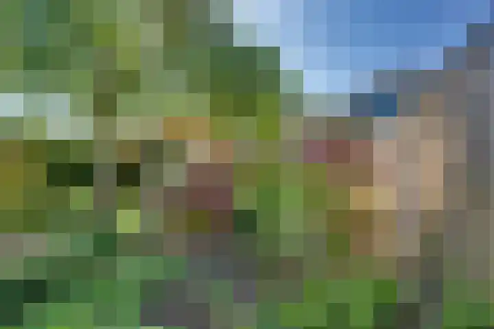 Kruisweg 23 Rijssen thumbnail 61