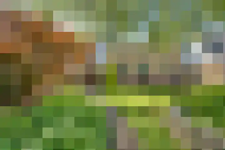 Kruisweg 23 Rijssen thumbnail 62