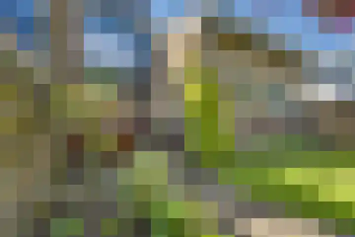 Kruisweg 23 Rijssen thumbnail 63