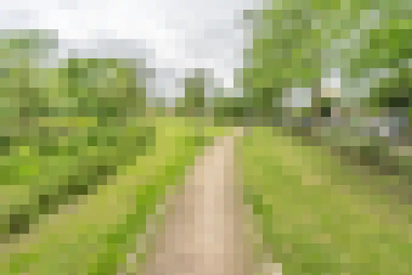 Kruisweg 24 BS Utrecht thumbnail 46