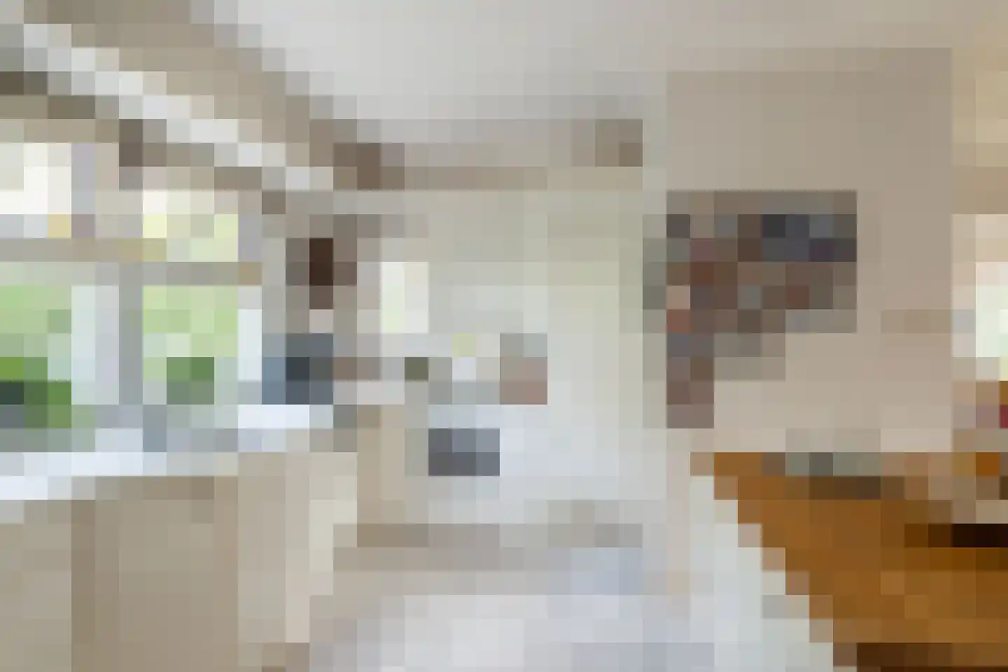 Kruisweg 24 Naaldwijk thumbnail 11