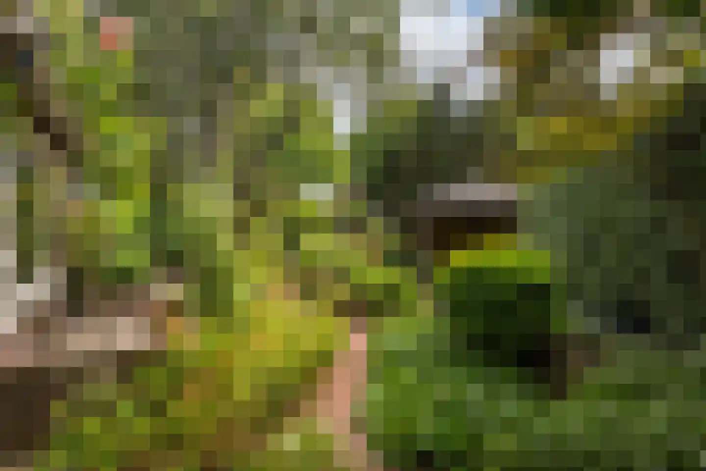 Kruisweg 24 Naaldwijk thumbnail 21