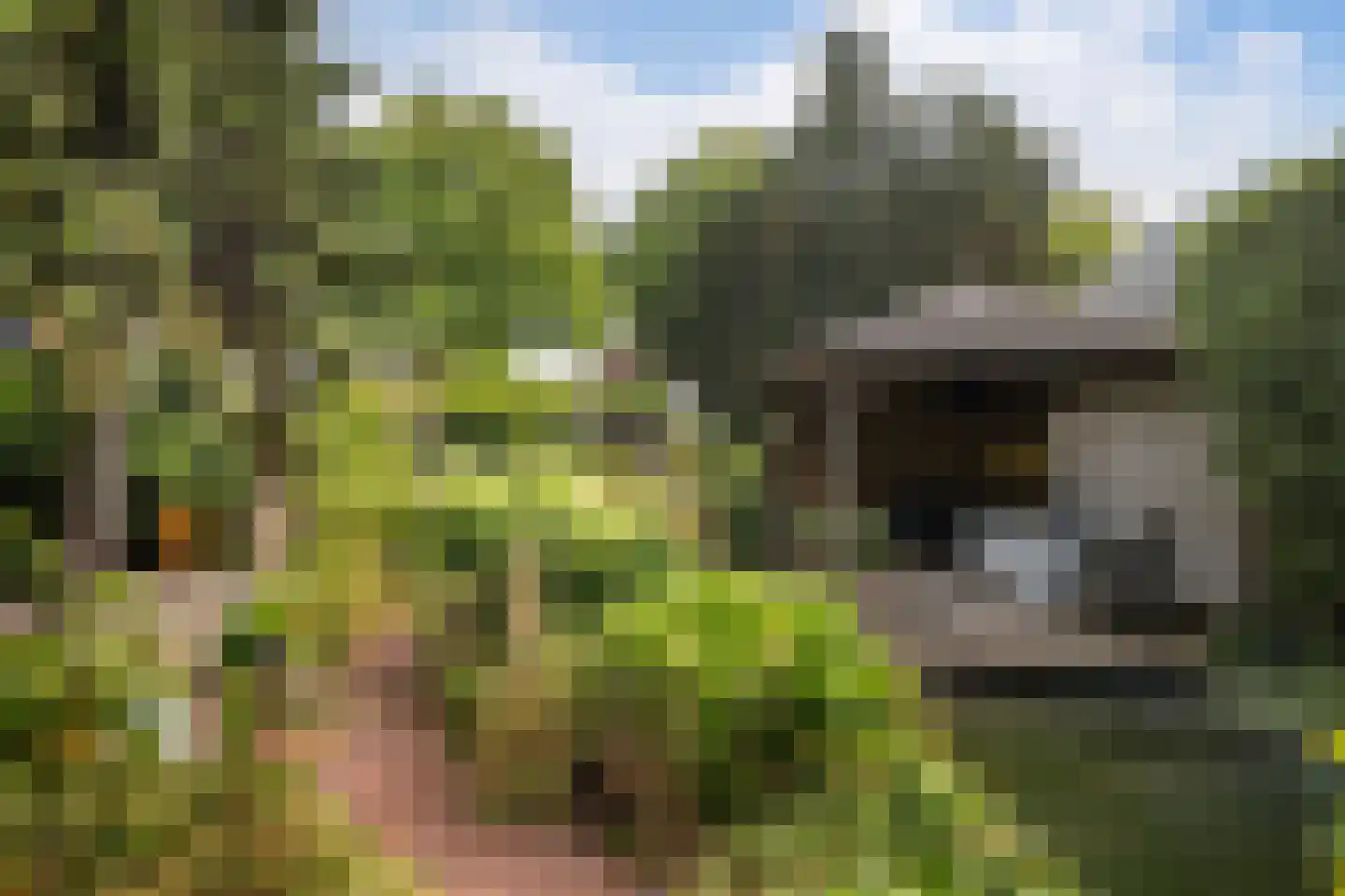 Kruisweg 24 Naaldwijk thumbnail 22