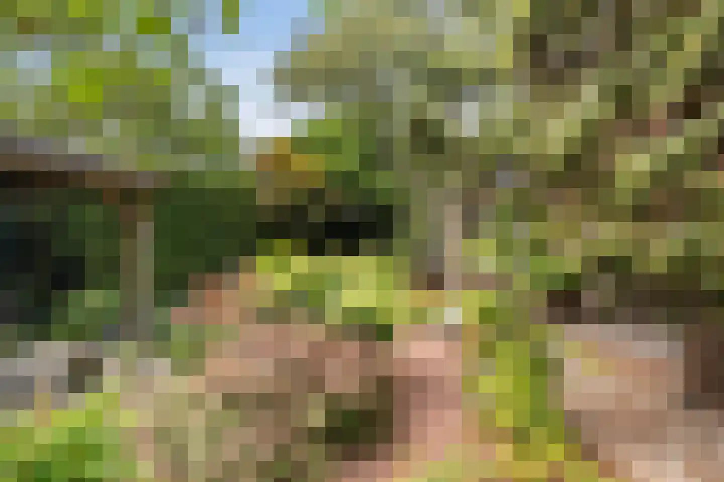 Kruisweg 24 Naaldwijk thumbnail 23