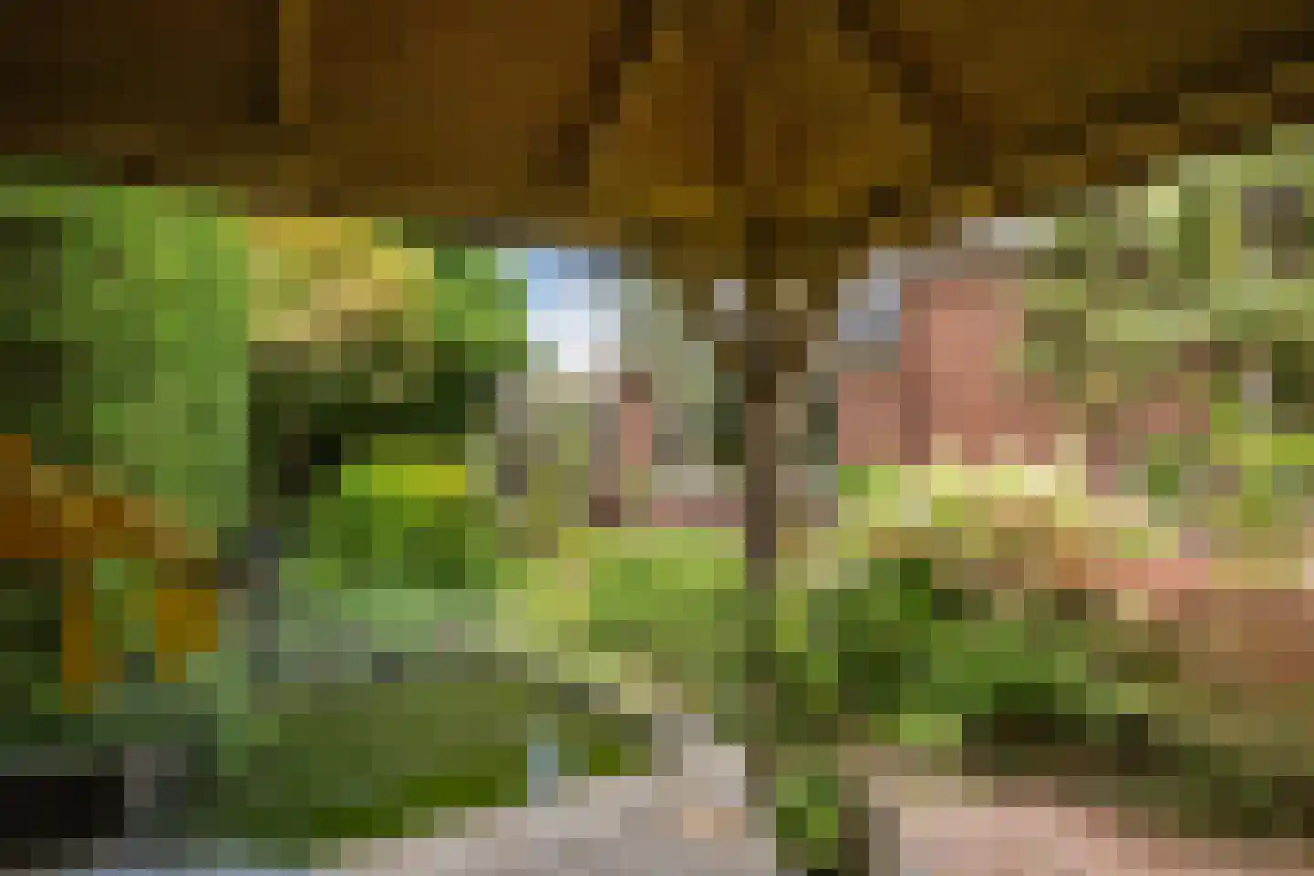 Kruisweg 24 Naaldwijk thumbnail 24