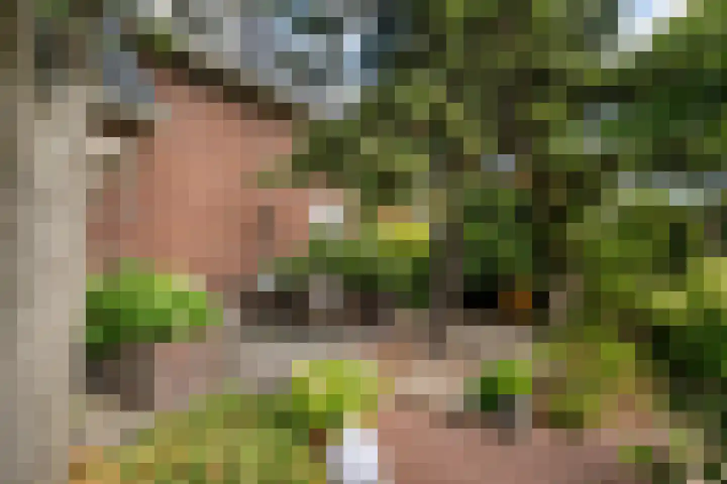 Kruisweg 24 Naaldwijk thumbnail 25