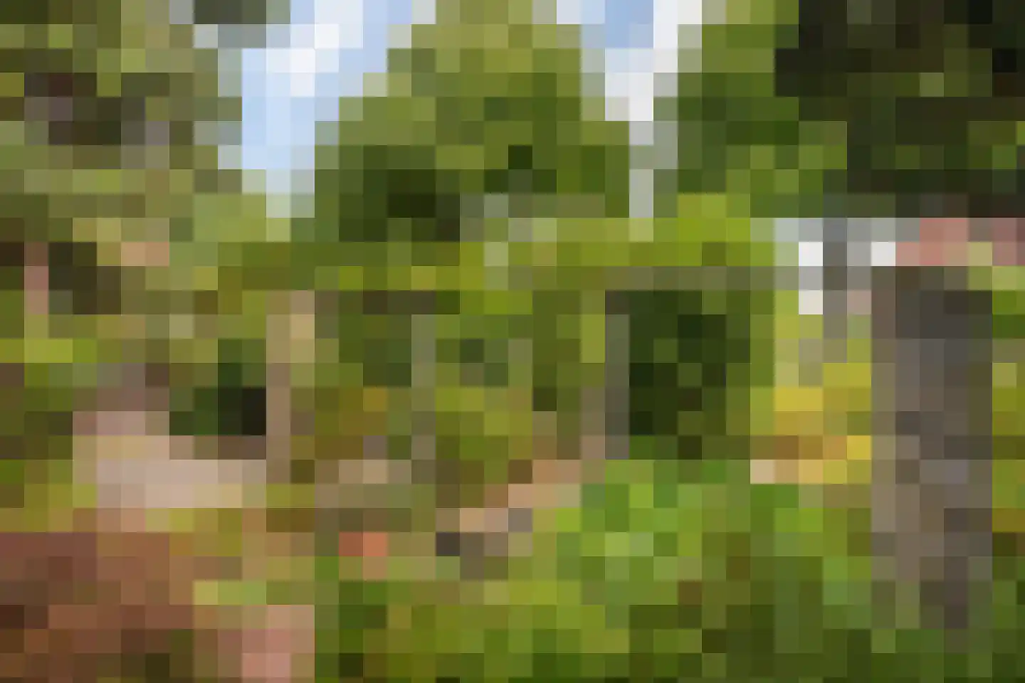 Kruisweg 24 Naaldwijk thumbnail 26