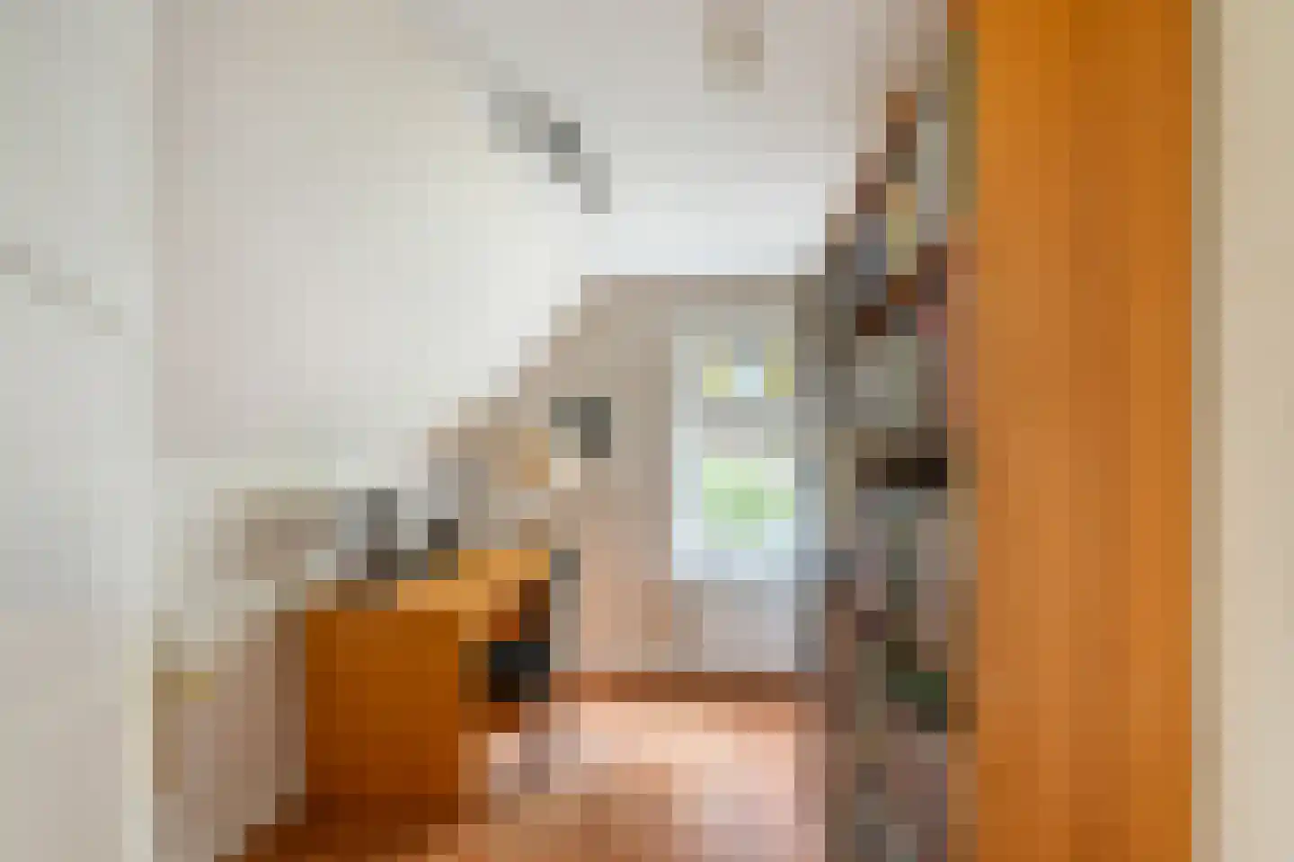 Kruisweg 24 Naaldwijk thumbnail 40