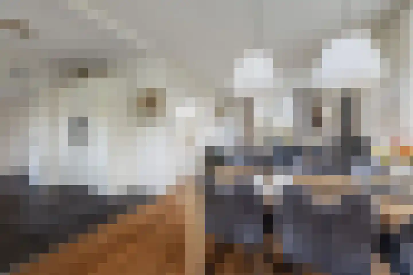 Kruisweg 25 Twello thumbnail 11