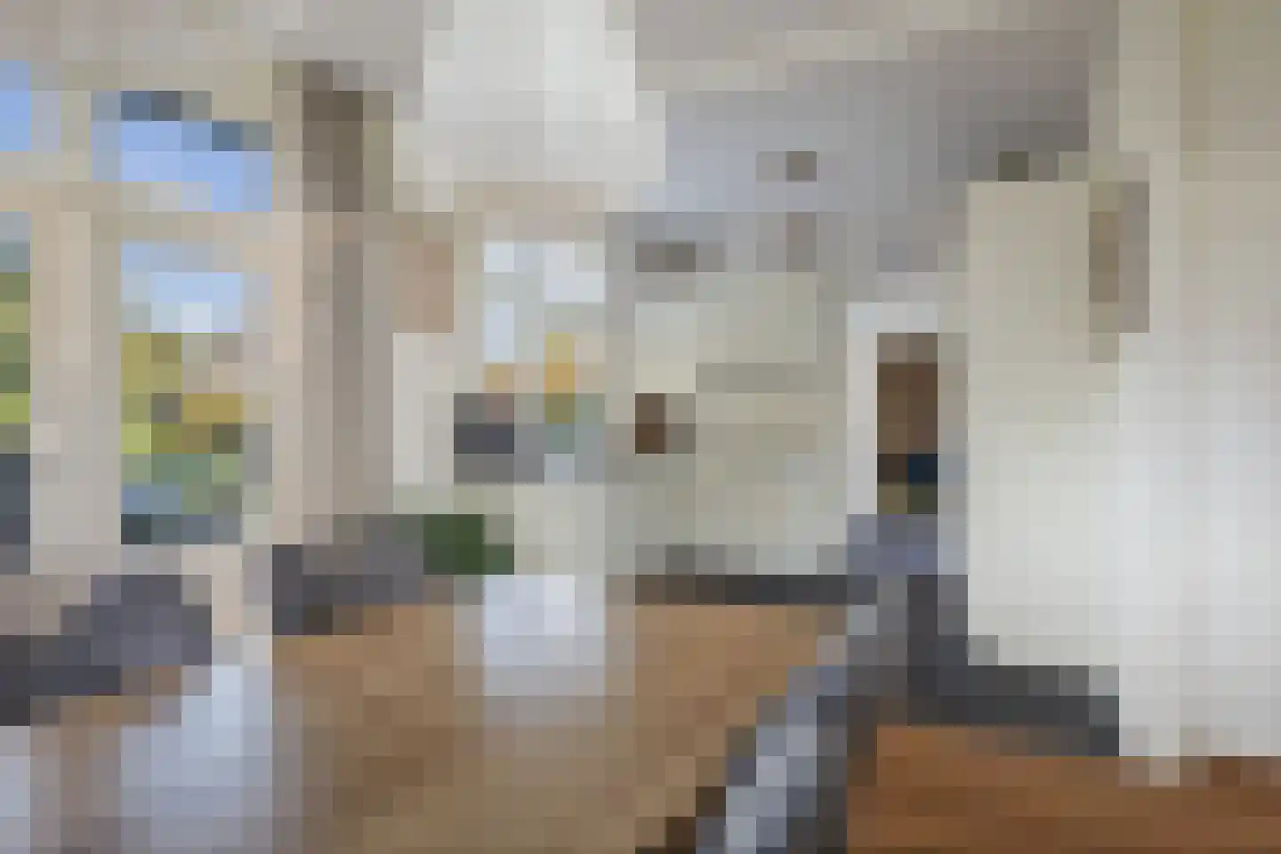 Kruisweg 25 Twello thumbnail 12