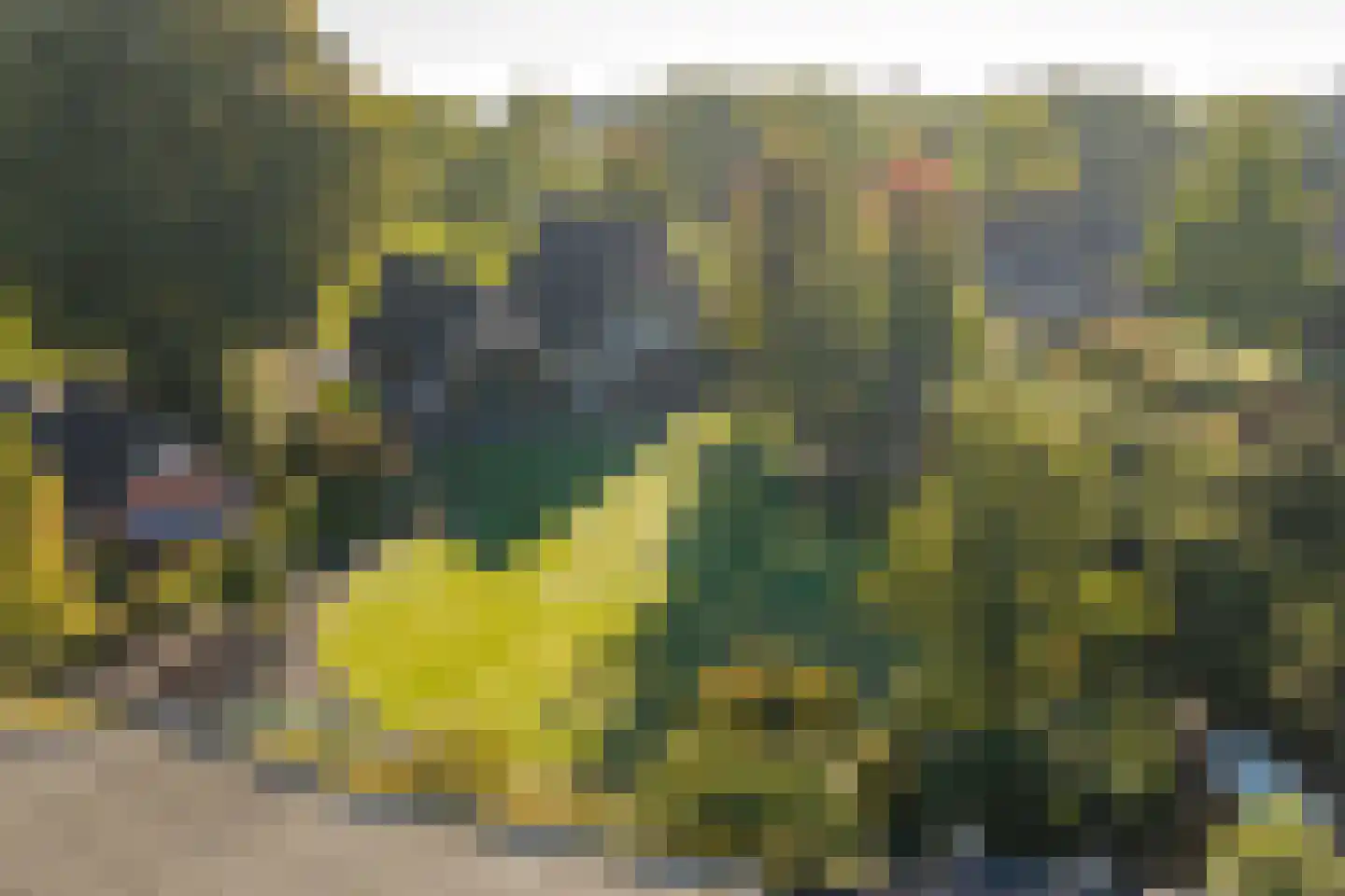 Kruisweg 25 Twello thumbnail 30