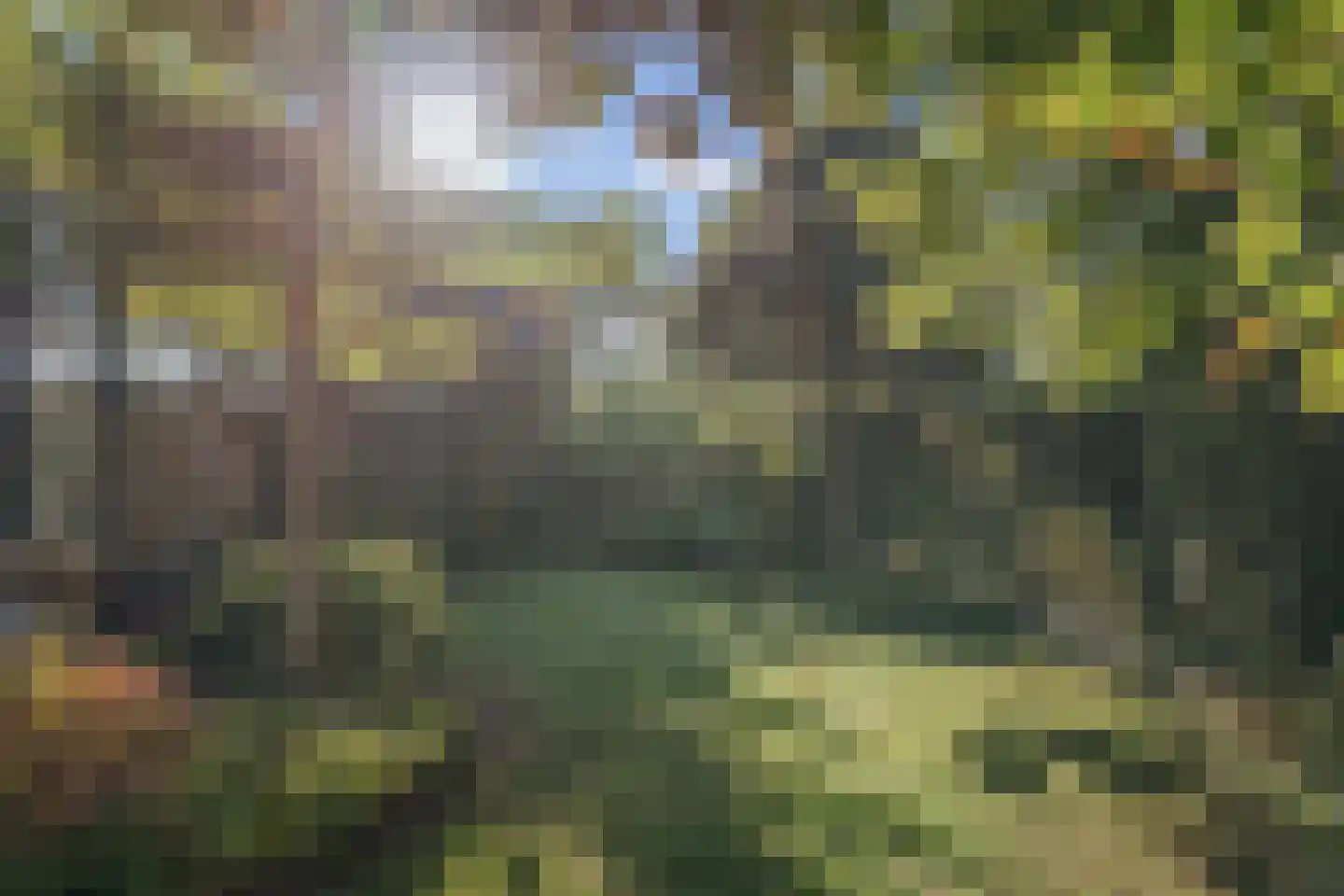 Kruisweg 25 Twello thumbnail 40