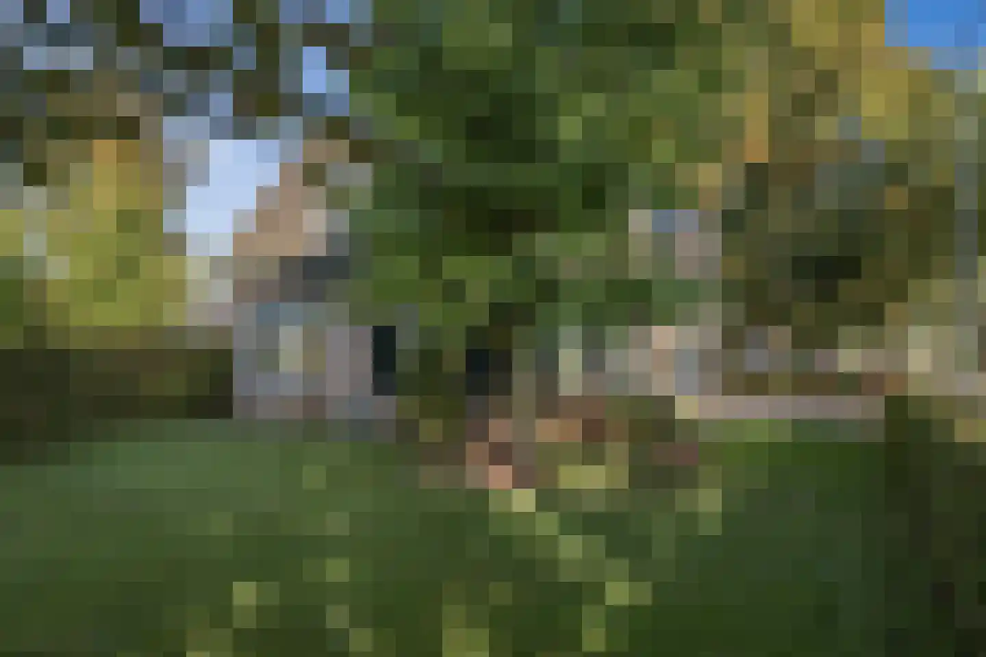 Kruisweg 25 Twello thumbnail 46