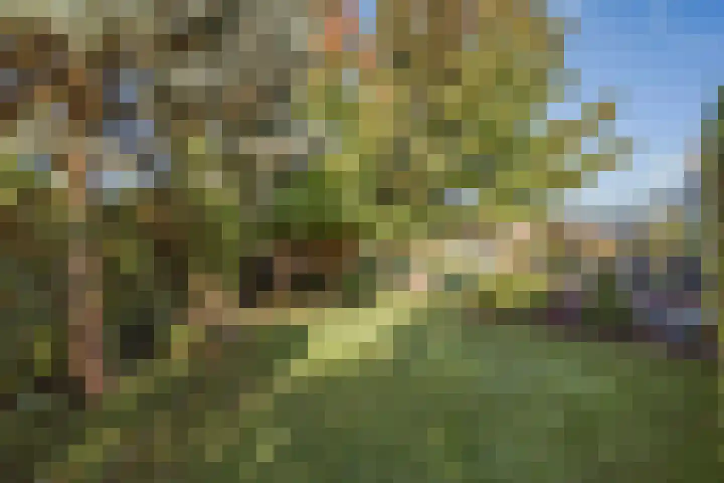 Kruisweg 25 Twello thumbnail 47