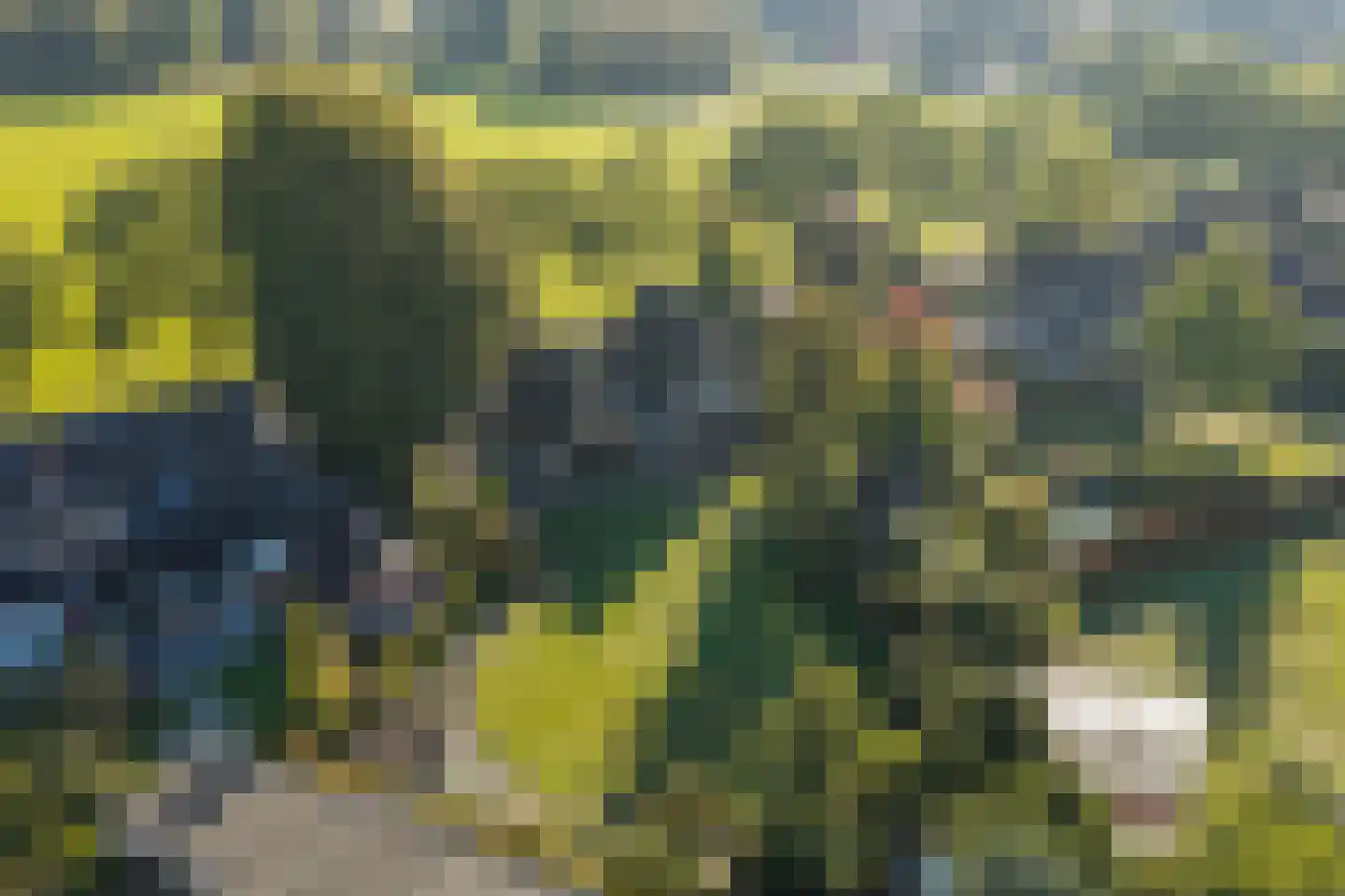 Kruisweg 25 Twello thumbnail 48
