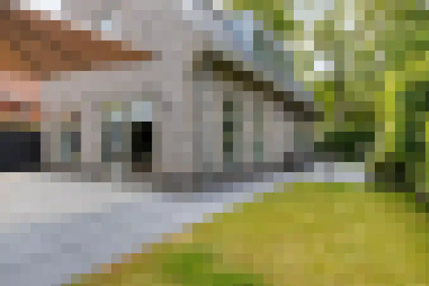 Kruisweg 27 A Bergen (NH) thumbnail 31