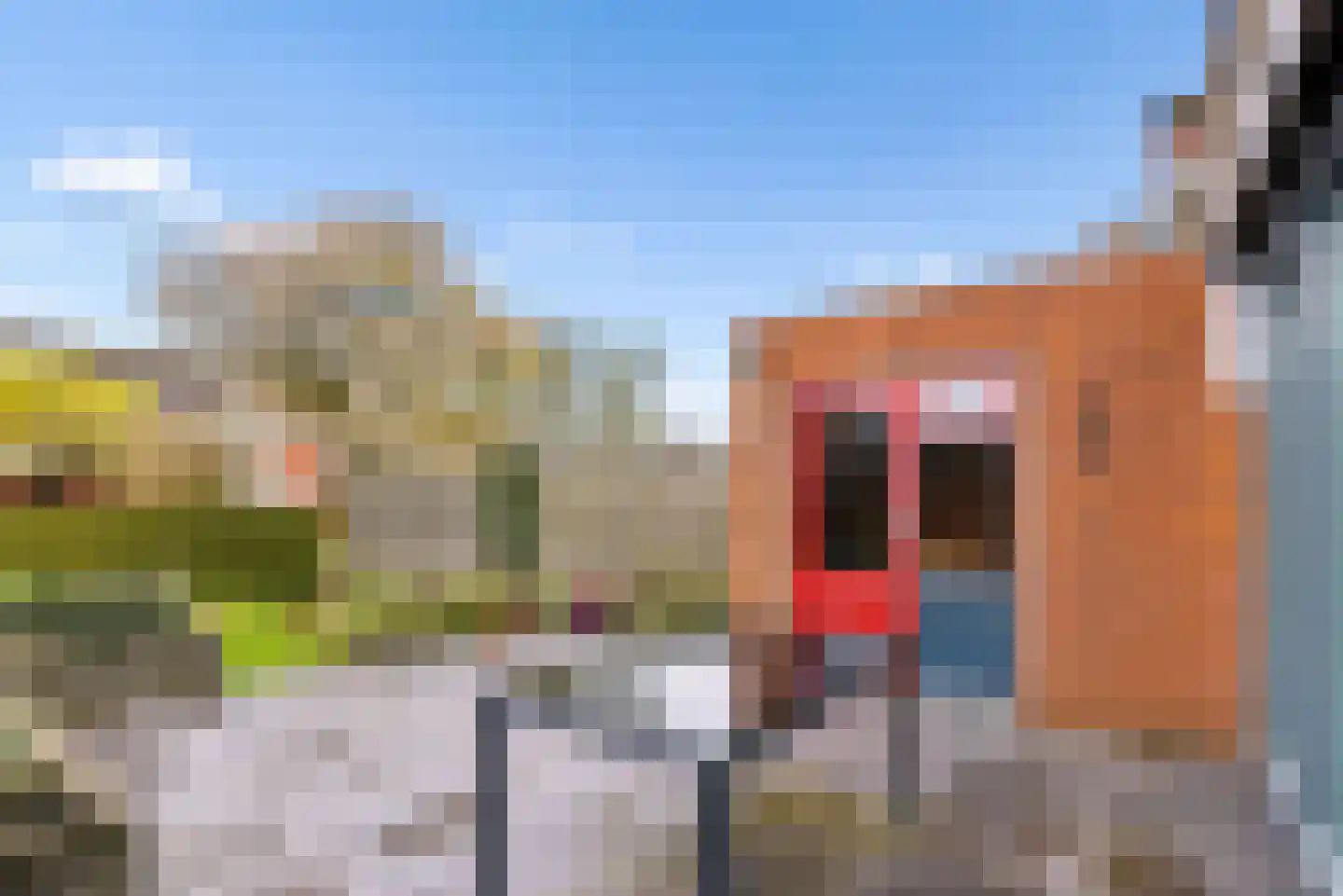 Kruisweg 29 Elburg thumbnail 46