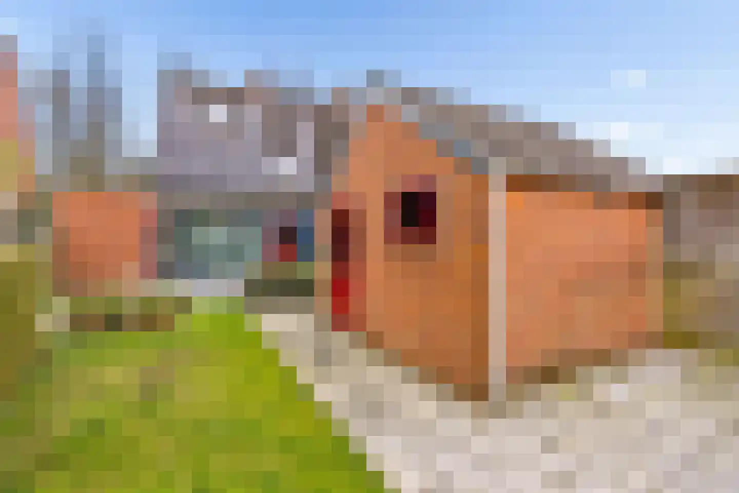 Kruisweg 29 Elburg thumbnail 52