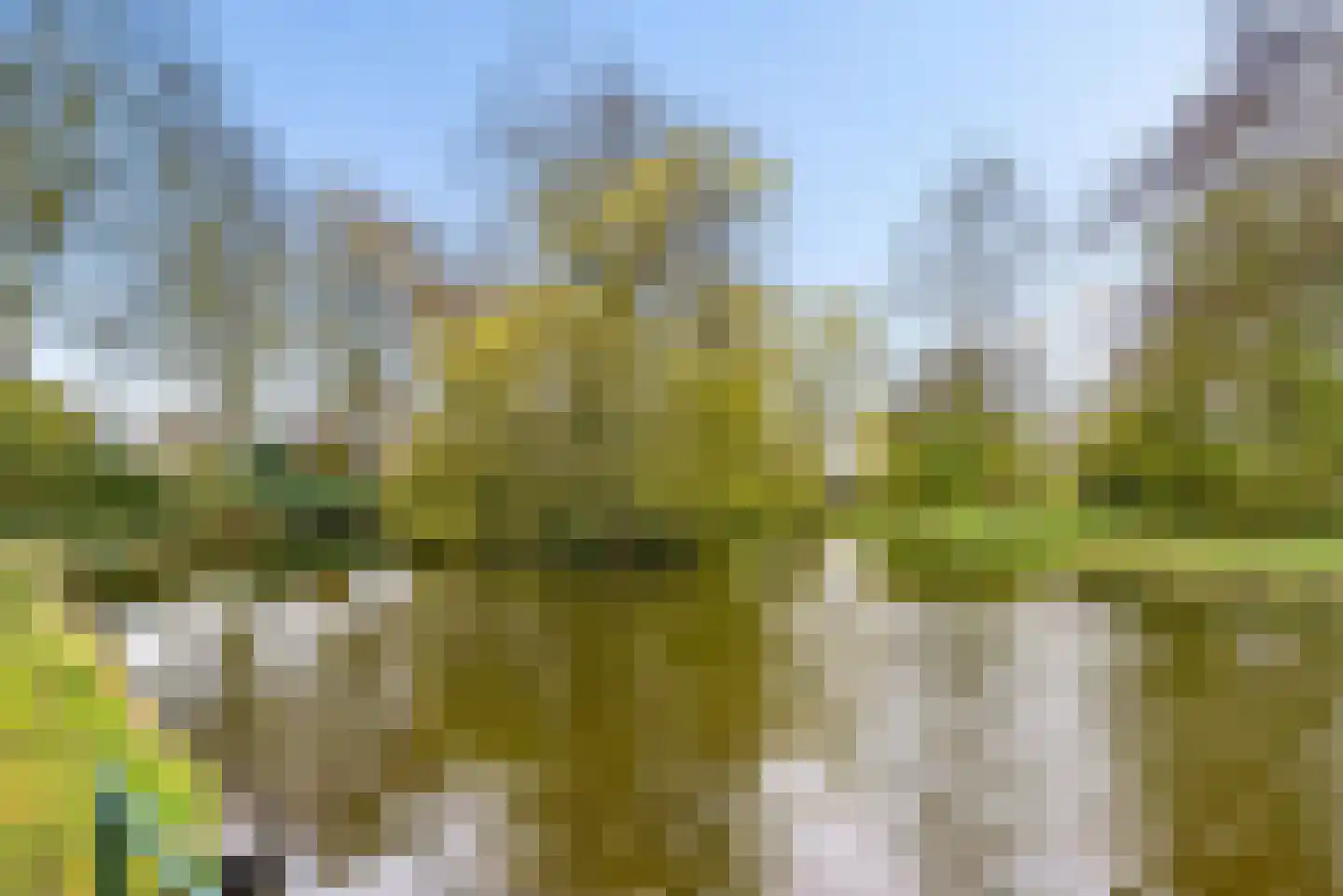 Kruisweg 29 Elburg thumbnail 58