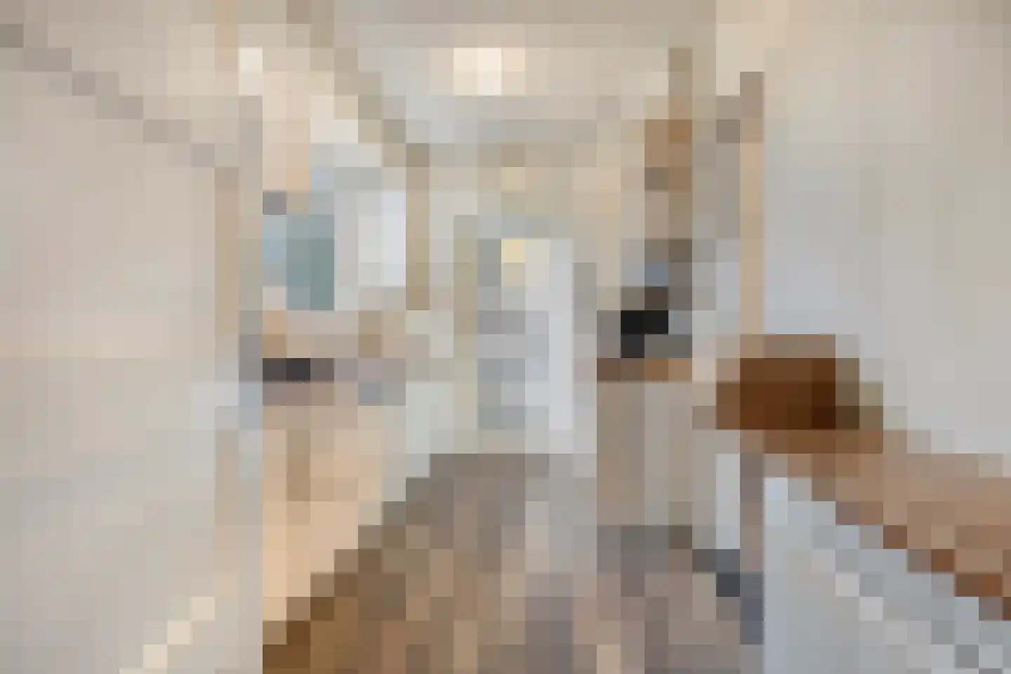 Kruisweg 3 Vlodrop thumbnail 11