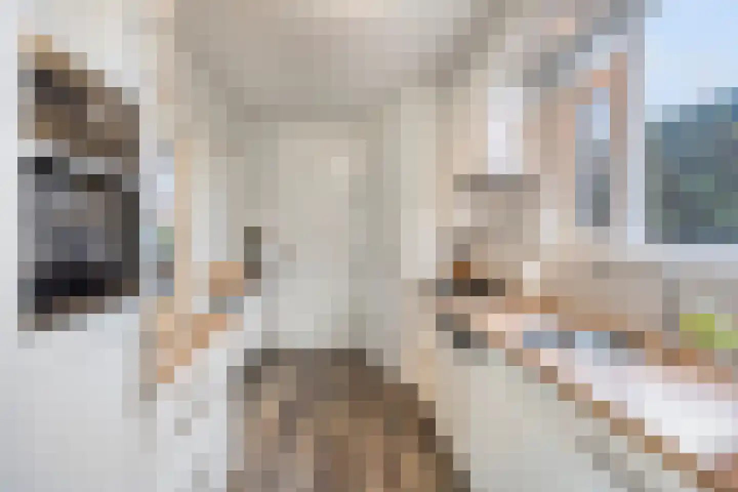 Kruisweg 3 Vlodrop thumbnail 13