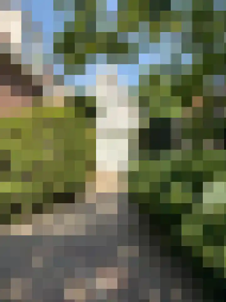 Kruisweg 33 Bergen (NH) thumbnail 63