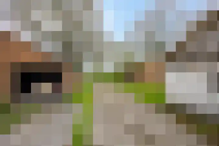 Kruisweg 34 Marum thumbnail 24