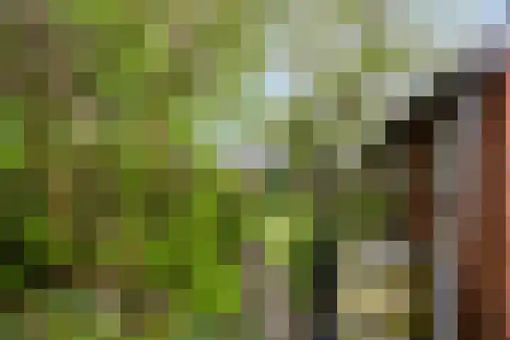 Kruisweg 34 Marum thumbnail 36