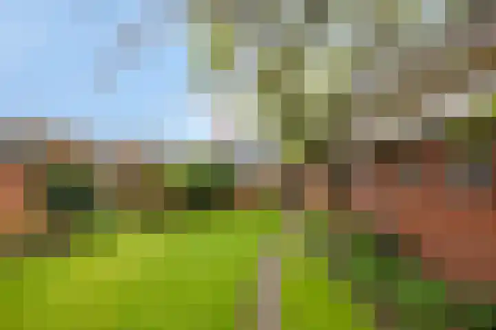Kruisweg 34 Marum thumbnail 37
