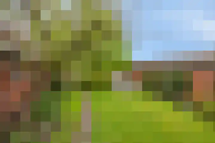 Kruisweg 34 Marum thumbnail 38